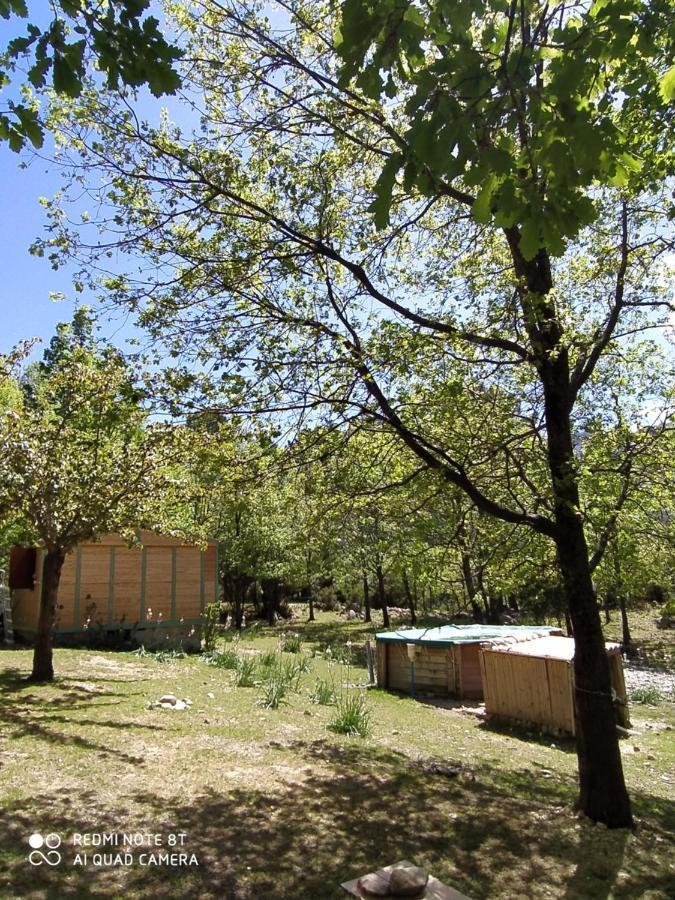 Chalet De Caralba Piscine Vila Ghisoni Exterior foto